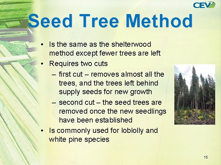 Seed Tree Method • Is the same as the shelterwood method except fewer trees