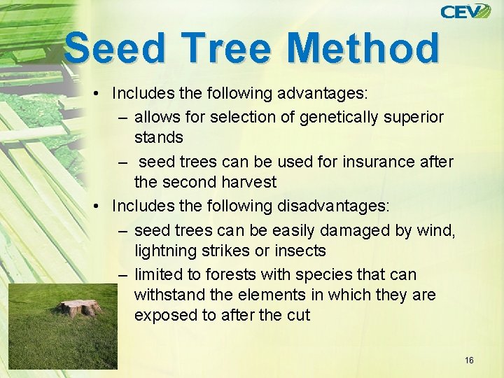 Harvesting Timber 1 Objectives 1 To define terms
