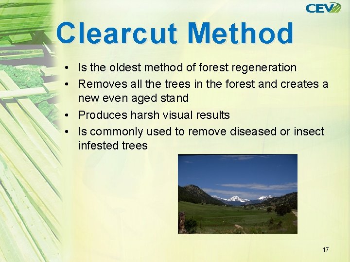 Clearcut Method • Is the oldest method of forest regeneration • Removes all the