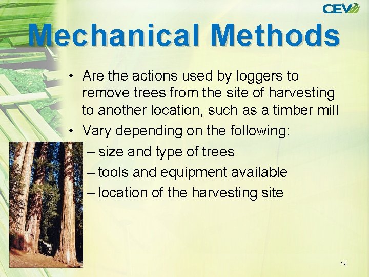 Mechanical Methods • Are the actions used by loggers to remove trees from the