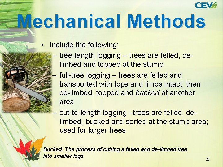 Mechanical Methods • Include the following: – tree-length logging – trees are felled, delimbed