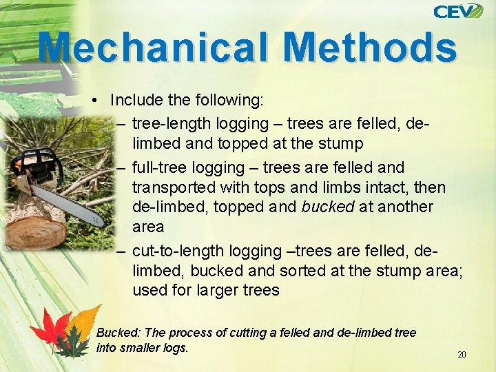 Mechanical Methods • Include the following: – tree-length logging – trees are felled, delimbed