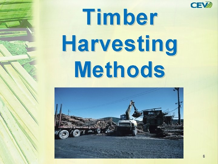 Timber Harvesting Methods 6 