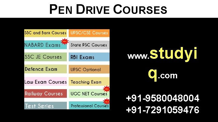 PEN DRIVE COURSES studyi q. com www. +91 -958004 +91 -7291059476 