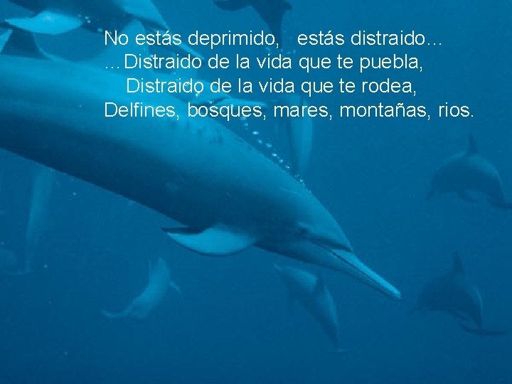 No estás deprimido, estás distraido… …Distraido de la vida que te puebla, Distraido de