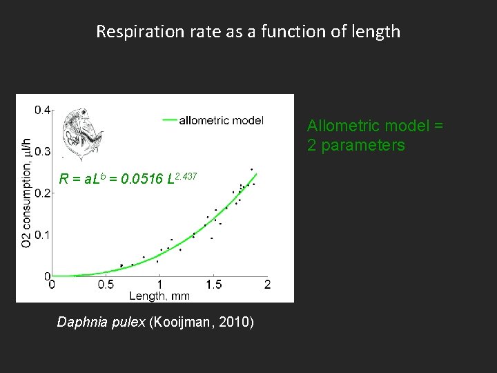 Respiration rate as a function of length Allometric model = 2 parameters R =