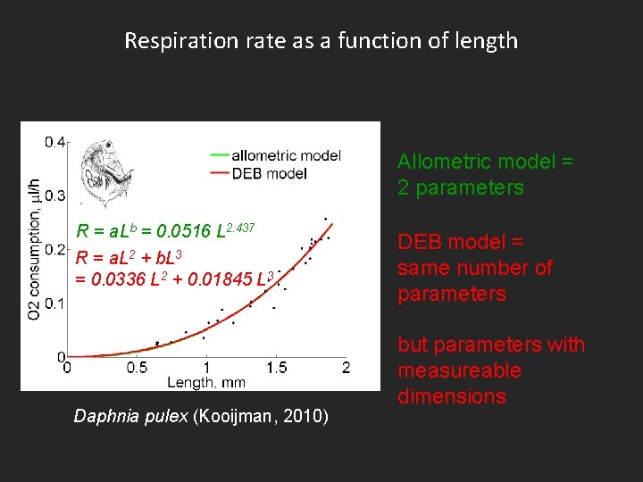 Respiration rate as a function of length Allometric model = 2 parameters R =