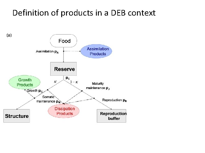 Definition of products in a DEB context 