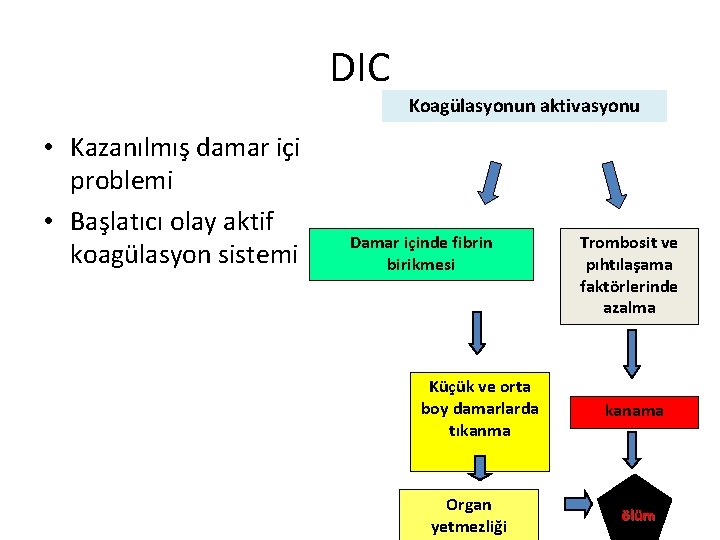 DIC Koagülasyonun aktivasyonu • Kazanılmış damar içi problemi • Başlatıcı olay aktif koagülasyon sistemi