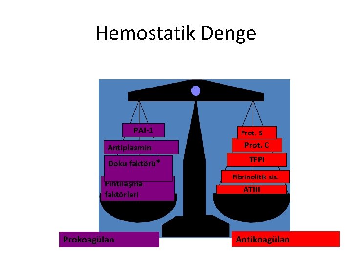 Hemostatik Denge PAI-1 Antiplasmin Doku faktörü* Pıhtılaşma faktörleri Prokoagülan Prot. S Prot. C TFPI