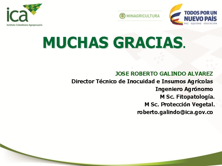 MUCHAS GRACIAS. . JOSE ROBERTO GALINDO ALVAREZ Director Técnico de Inocuidad e Insumos Agrícolas