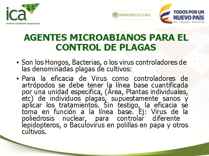 AGENTES MICROABIANOS PARA EL CONTROL DE PLAGAS • Son los Hongos, Bacterias, o los