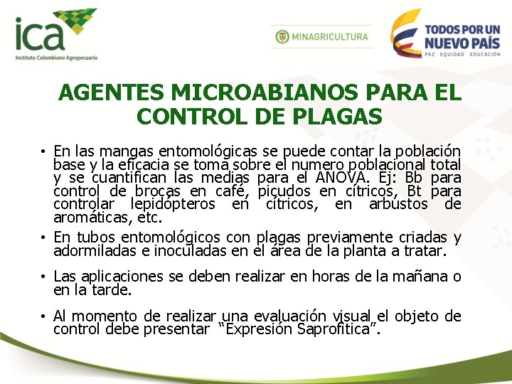 AGENTES MICROABIANOS PARA EL CONTROL DE PLAGAS • En las mangas entomológicas se puede