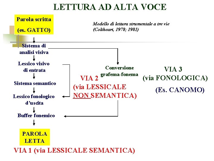 LETTURA AD ALTA VOCE Parola scritta (es. GATTO) Modello di lettura strumentale a tre