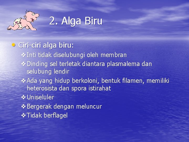 2. Alga Biru • Ciri-ciri alga biru: v. Inti tidak diselubungi oleh membran v.