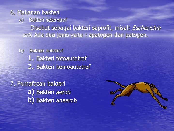 6. Makanan bakteri a) Bakteri heterotrof Disebut sebagai bakteri saprofit, misal: Escherichia coli. Ada