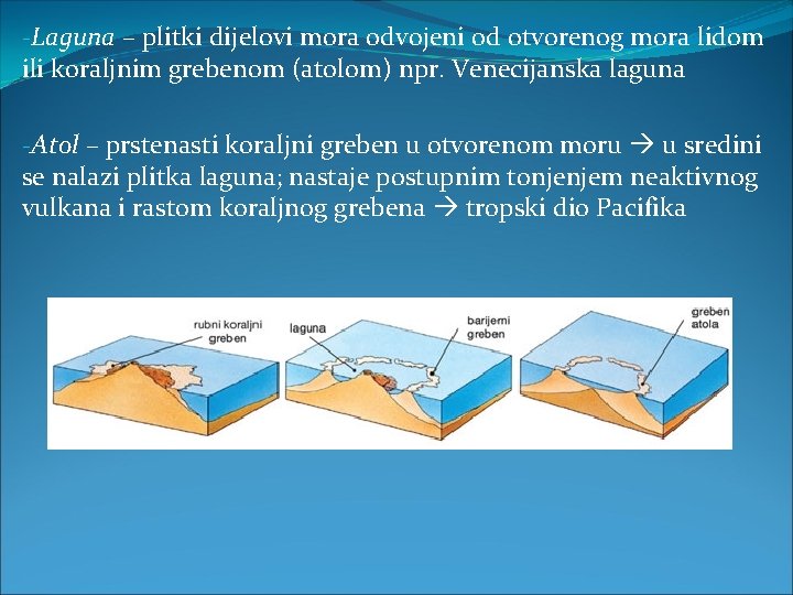 -Laguna – plitki dijelovi mora odvojeni od otvorenog mora lidom ili koraljnim grebenom (atolom)