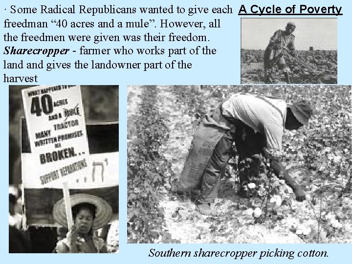 · Some Radical Republicans wanted to give each A Cycle of Poverty freedman “