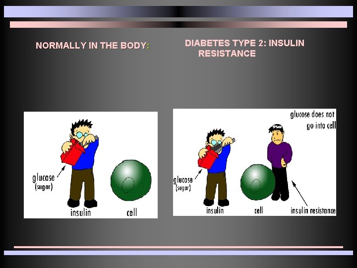 NORMALLY IN THE BODY: DIABETES TYPE 2: INSULIN RESISTANCE 