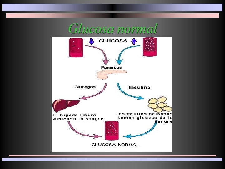 Glucosa normal 