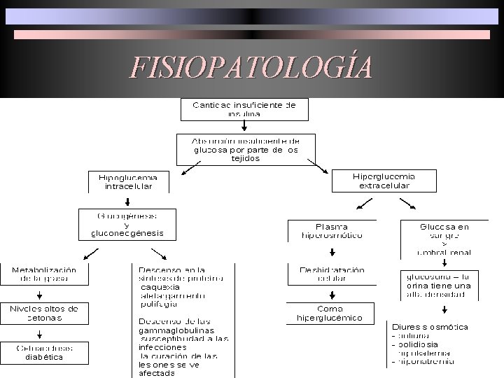 FISIOPATOLOGÍA 