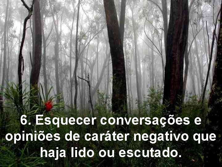 6. Esquecer conversações e opiniões de caráter negativo que haja lido ou escutado. 