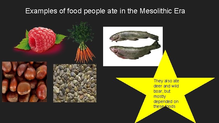 Examples of food people ate in the Mesolithic Era They also ate deer and