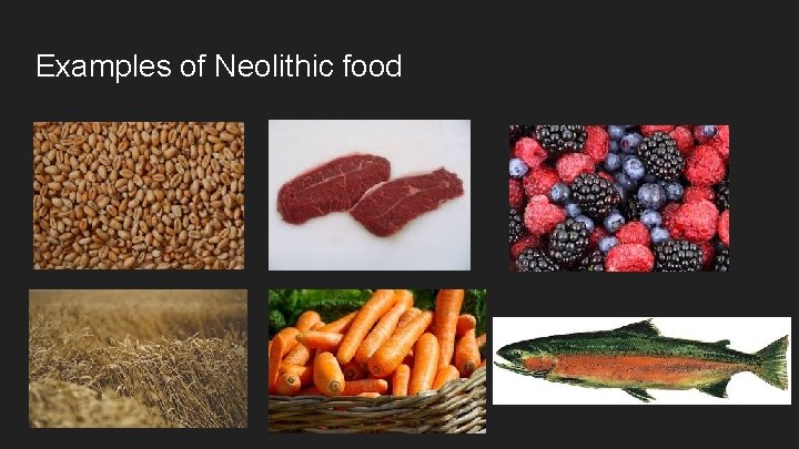 Examples of Neolithic food 