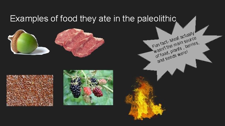 Examples of food they ate in the paleolithic lly ctua e a t Mea