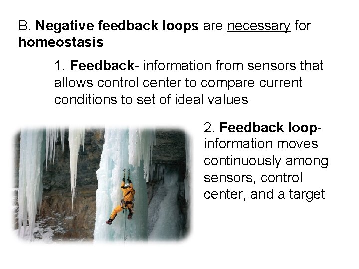 B. Negative feedback loops are necessary for homeostasis 1. Feedback- information from sensors that