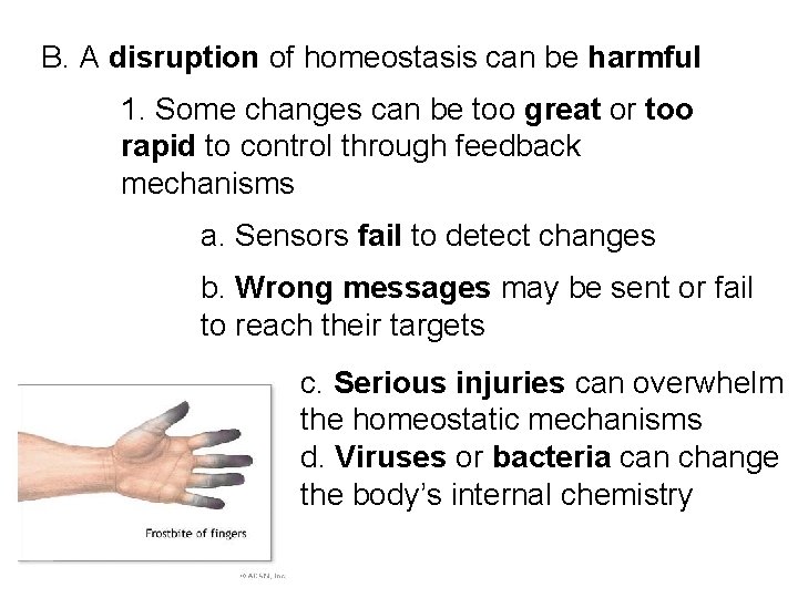 B. A disruption of homeostasis can be harmful 1. Some changes can be too