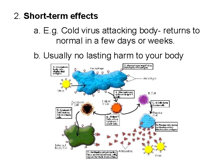  2. Short-term effects a. E. g. Cold virus attacking body- returns to normal