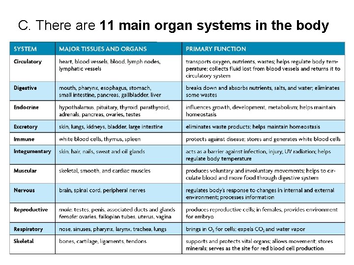 C. There are 11 main organ systems in the body 