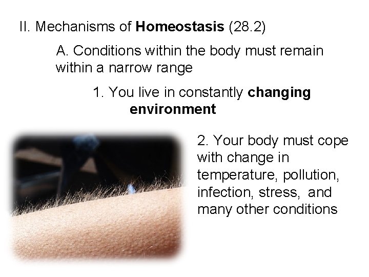 II. Mechanisms of Homeostasis (28. 2) A. Conditions within the body must remain within