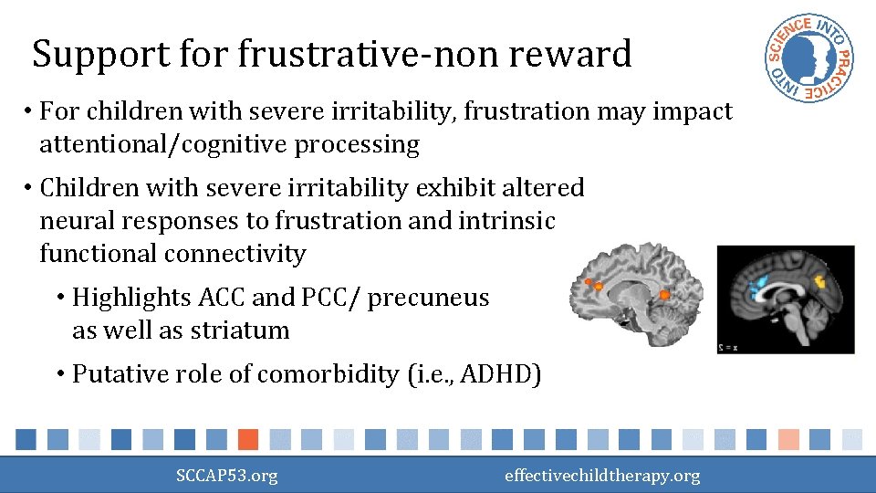 Support for frustrative-non reward • For children with severe irritability, frustration may impact attentional/cognitive