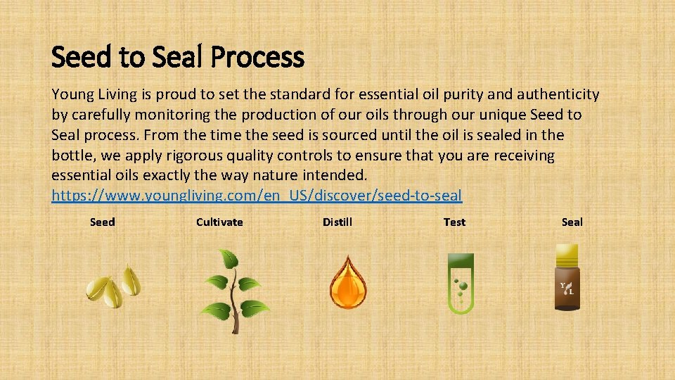 Seed to Seal Process Young Living is proud to set the standard for essential