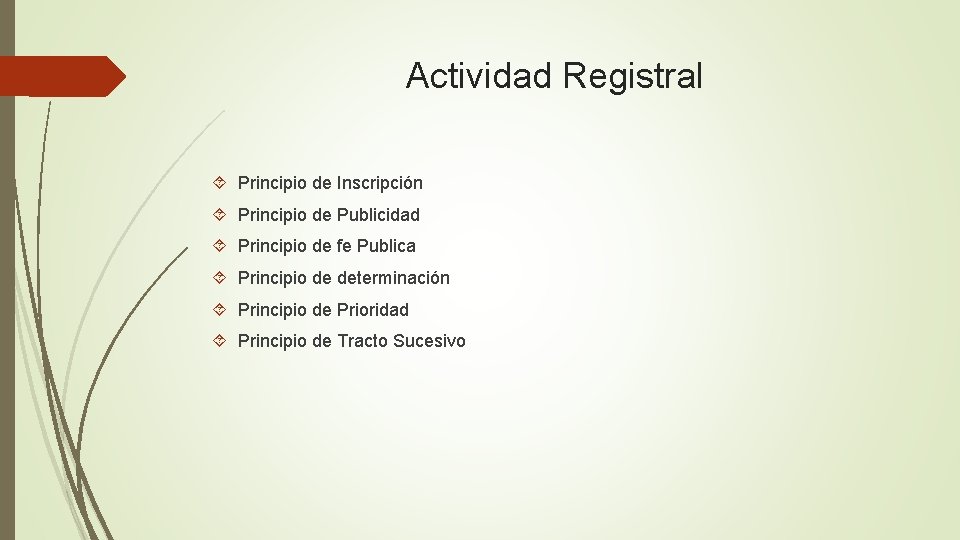 Actividad Registral Principio de Inscripción Principio de Publicidad Principio de fe Publica Principio de