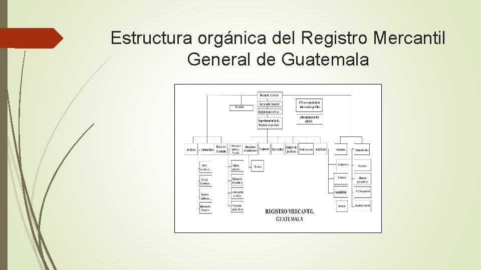 Estructura orgánica del Registro Mercantil General de Guatemala 