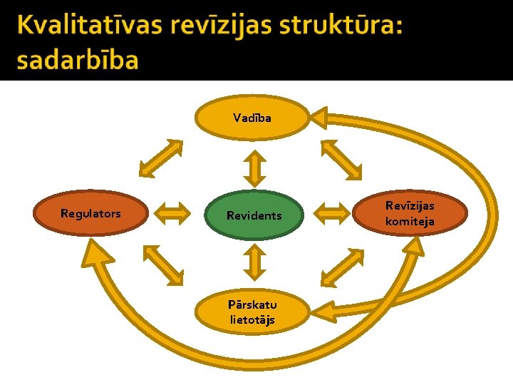 Vadība Regulators Revidents Pārskatu lietotājs Revīzijas komiteja 