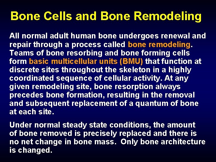 Bone Cells and Bone Remodeling All normal adult human bone undergoes renewal and repair