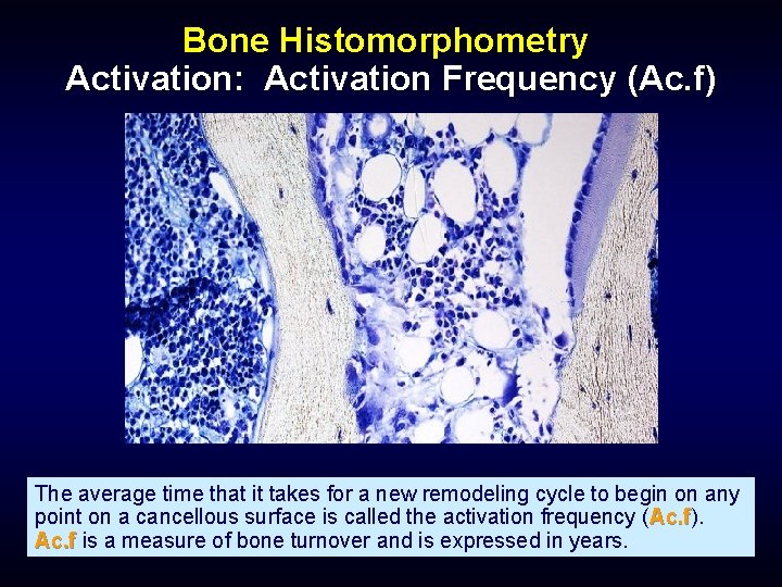 Bone Histomorphometry Activation: Activation Frequency (Ac. f) The average time that it takes for
