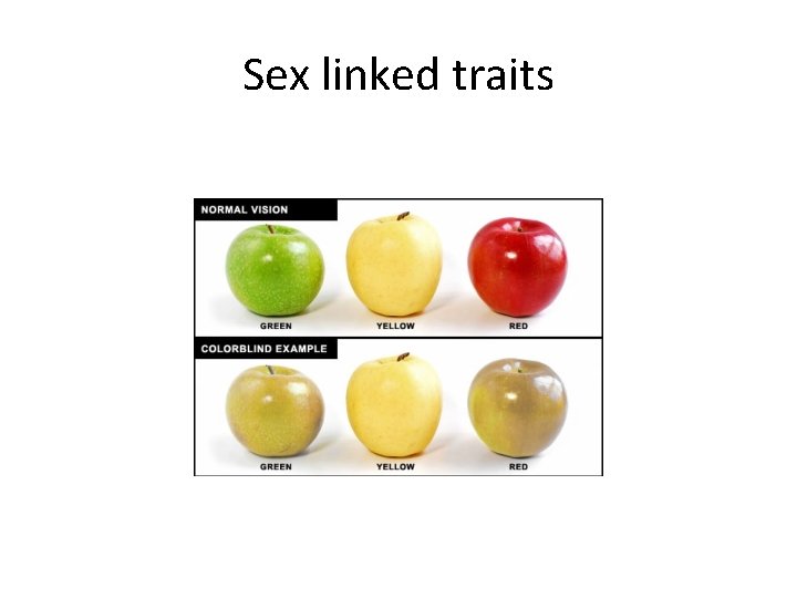 Sex linked traits 