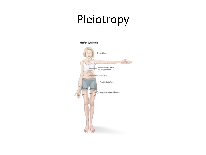 Pleiotropy 