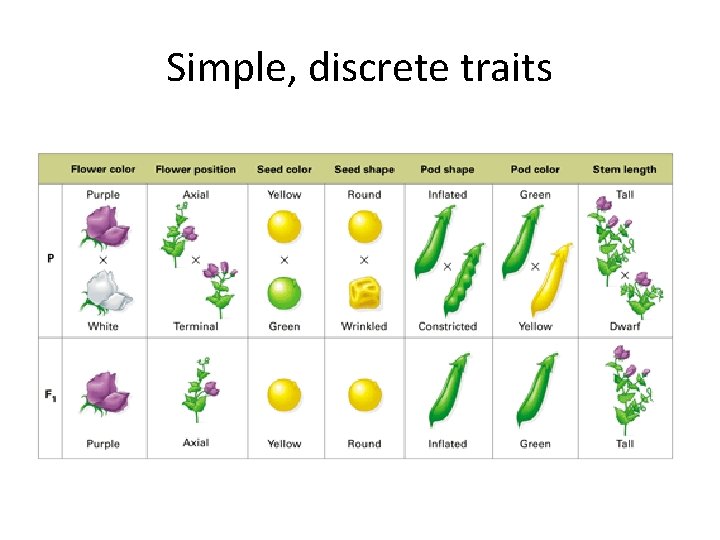 Simple, discrete traits 