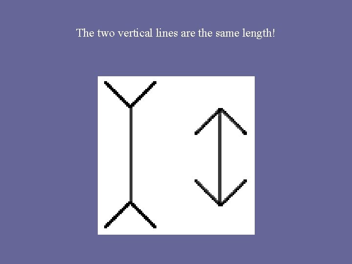 The two vertical lines are the same length! 