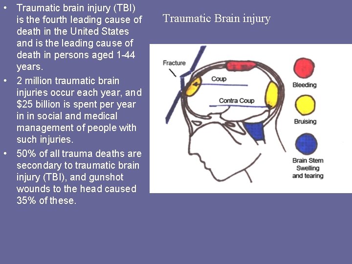  • Traumatic brain injury (TBI) is the fourth leading cause of death in