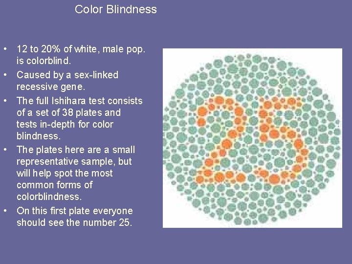 Color Blindness • 12 to 20% of white, male pop. is colorblind. • Caused
