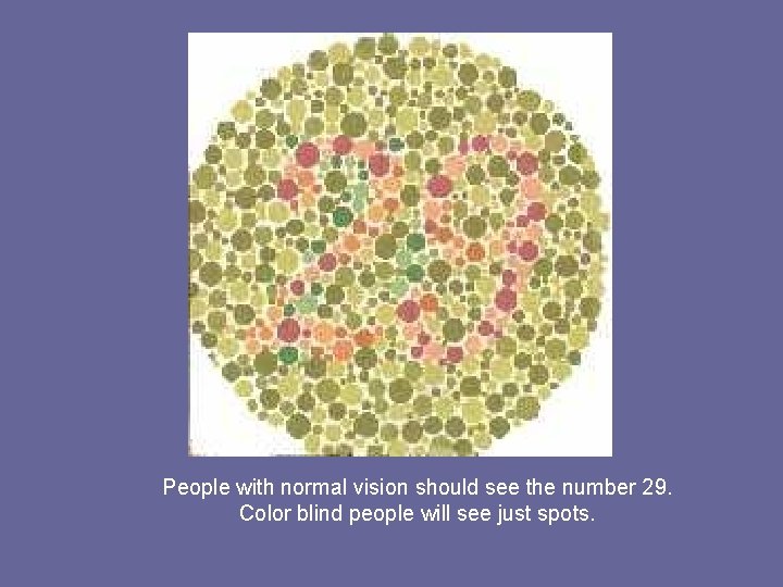 People with normal vision should see the number 29. Color blind people will see People with normal vision should see the number 29. Color blind people will see