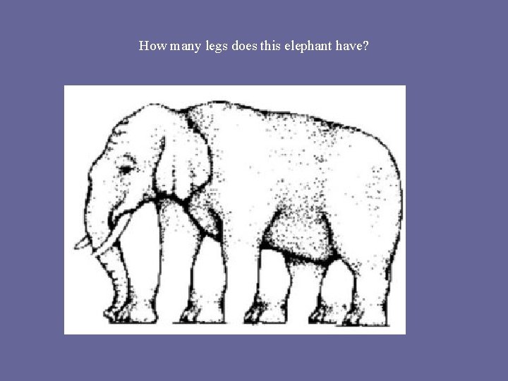 How many legs does this elephant have? 