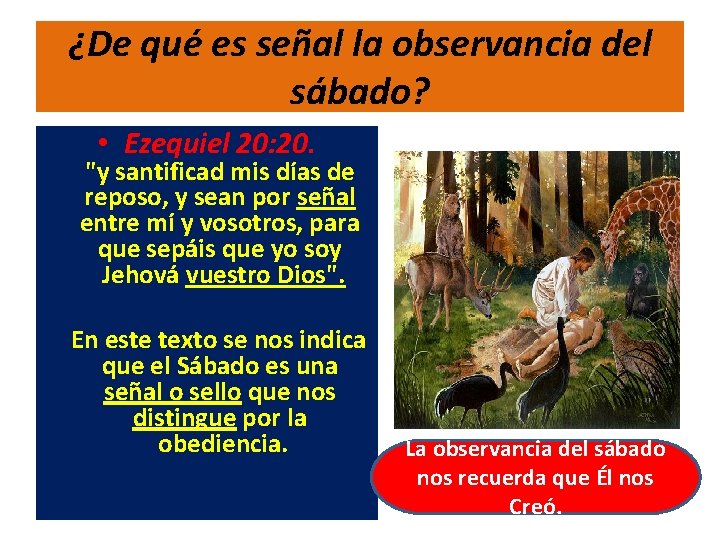¿De qué es señal la observancia del sábado? • Ezequiel 20: 20. "y santificad
